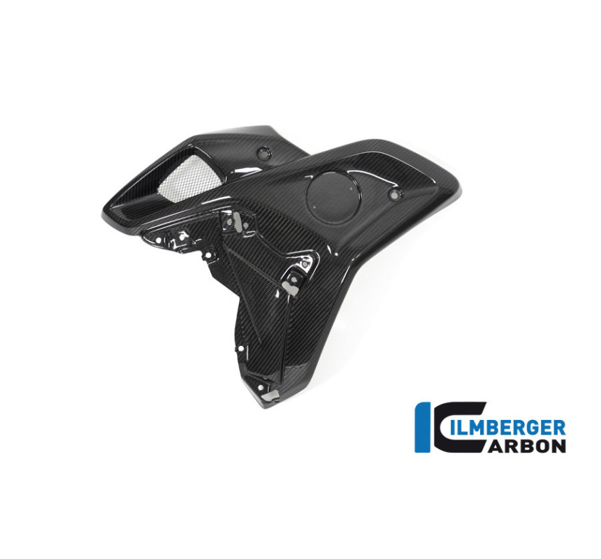 Canal d'air gauche carbone pour BMW R 1250 GS | Ilmberger Carbon