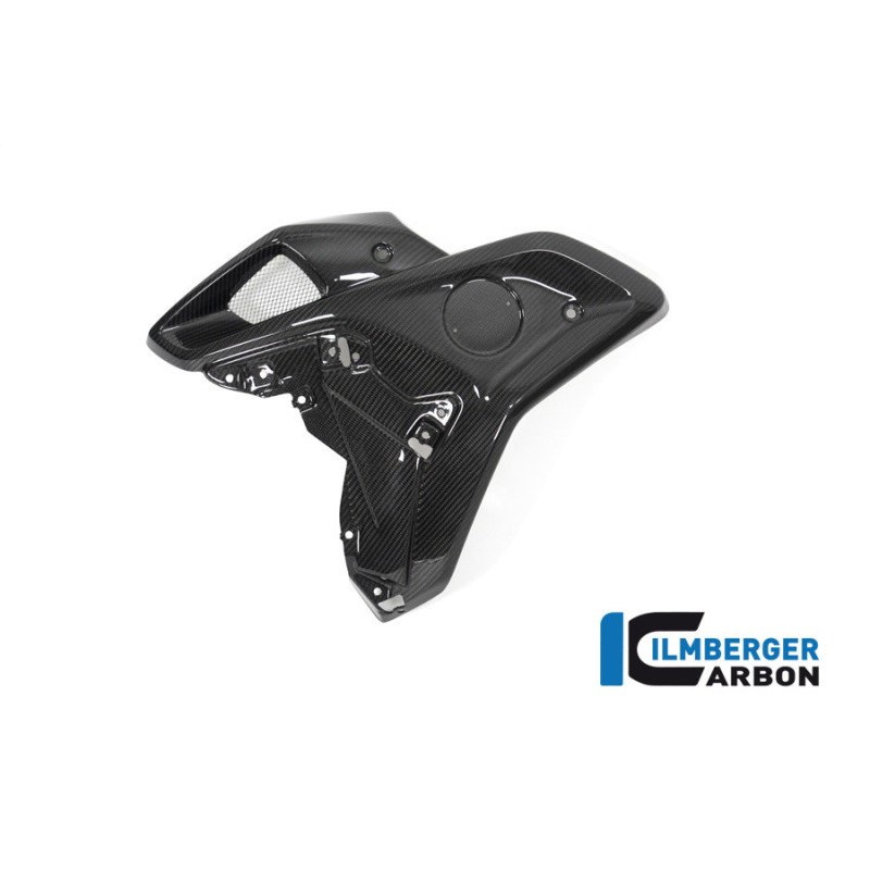 Canal d'air gauche carbone pour BMW R 1250 GS | Ilmberger Carbon