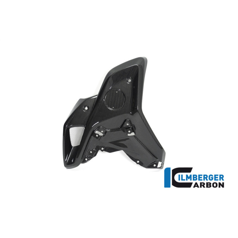 Canal d'air gauche carbone pour BMW R 1250 GS | Ilmberger Carbon