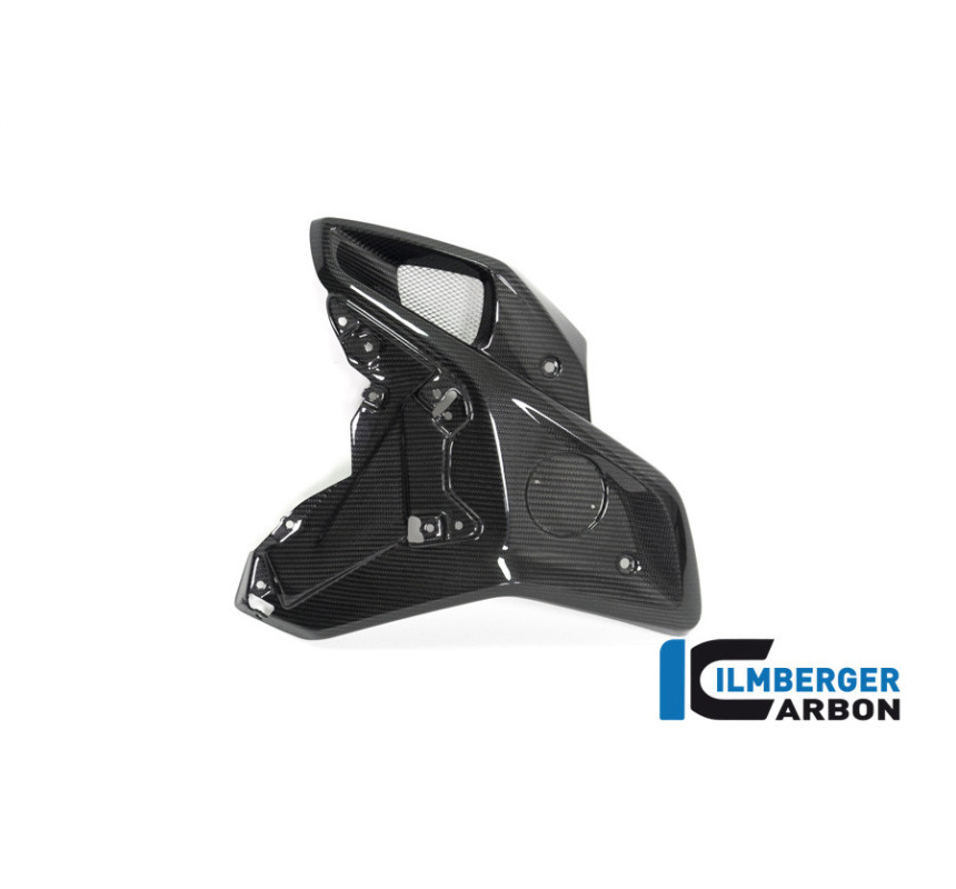 Canal d'air gauche carbone pour R 1250 GS
