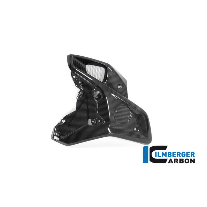 Canal d'air gauche carbone pour R 1250 GS