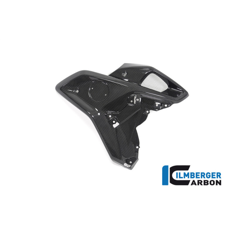Canal d'air droit carbone pour BMW R 1250 GS | Ilmberger Carbon
