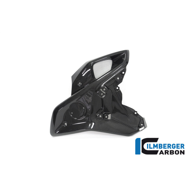 Canal d'air droit carbone pour BMW R 1250 GS | Ilmberger Carbon