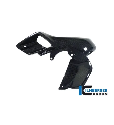 Canal d'air supérieur gauche carbone pour BMW R 1200 GS | Ilmberger Carbon
