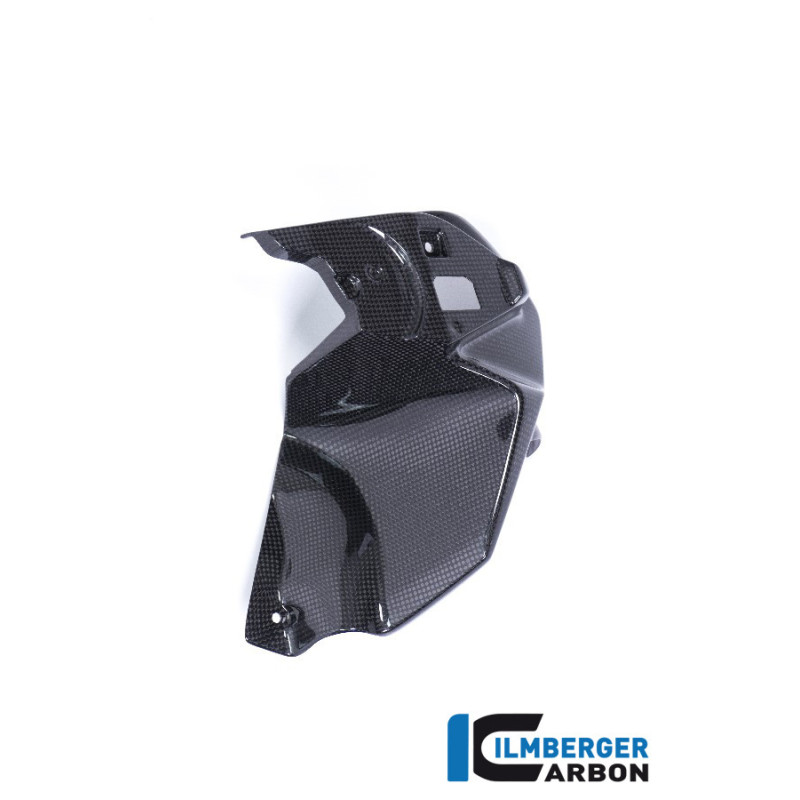 Habillage de sortie d'air gauche carbone pour BMW R 1200 GS | Ilmberger Carbon