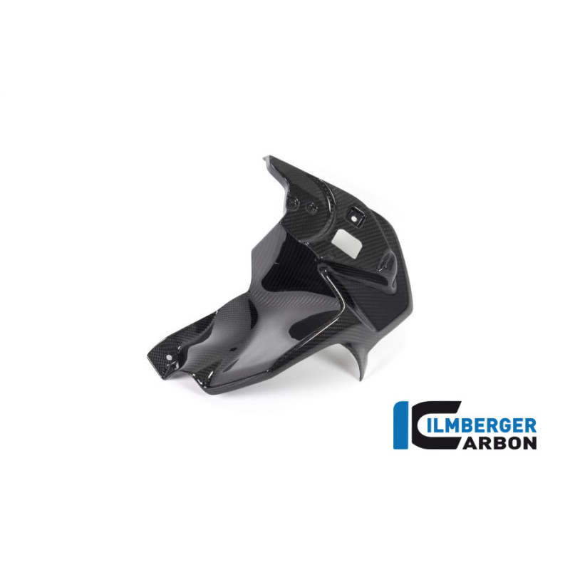 Habillage de sortie d'air gauche carbone pour BMW R 1250 GS | Ilmberger Carbon