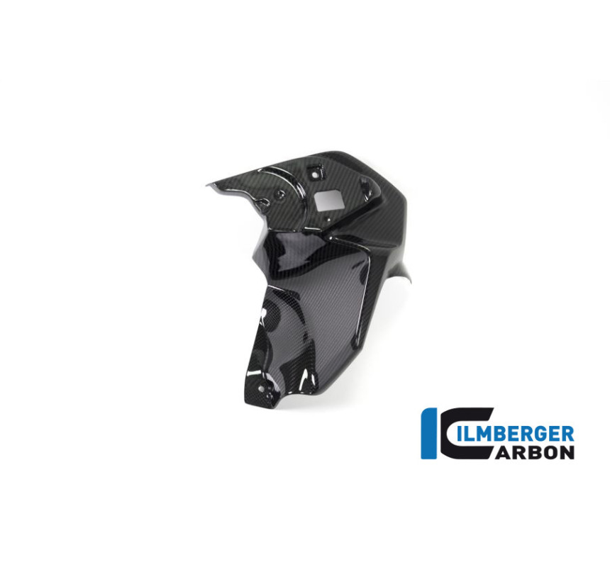 Habillage de sortie d'air gauche carbone pour R 1250 GS
