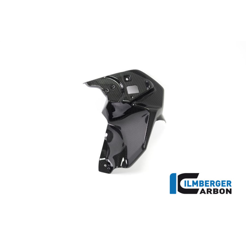 Habillage de sortie d'air gauche carbone pour R 1250 GS