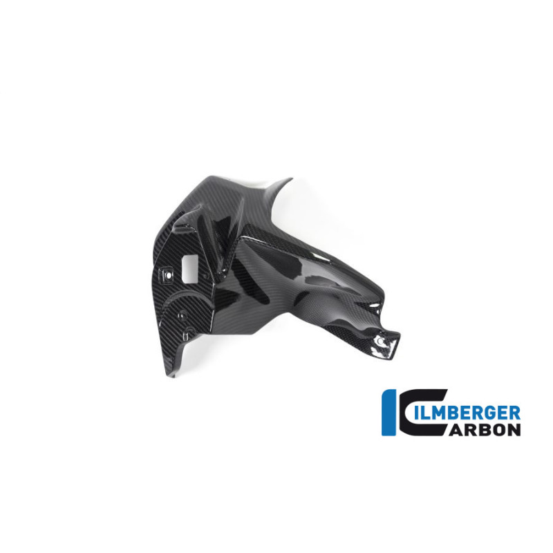 Habillage de sortie d'air gauche carbone pour BMW R 1250 GS | Ilmberger Carbon