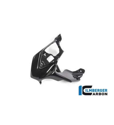 Habillage de sortie d'air droit carbone pour BMW R 1250 GS | Ilmberger Carbon