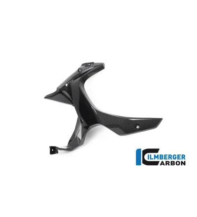 Habillage de sortie d'air gauche carbone pour BMW R 1250 GS Adventure | Ilmberger Carbon
