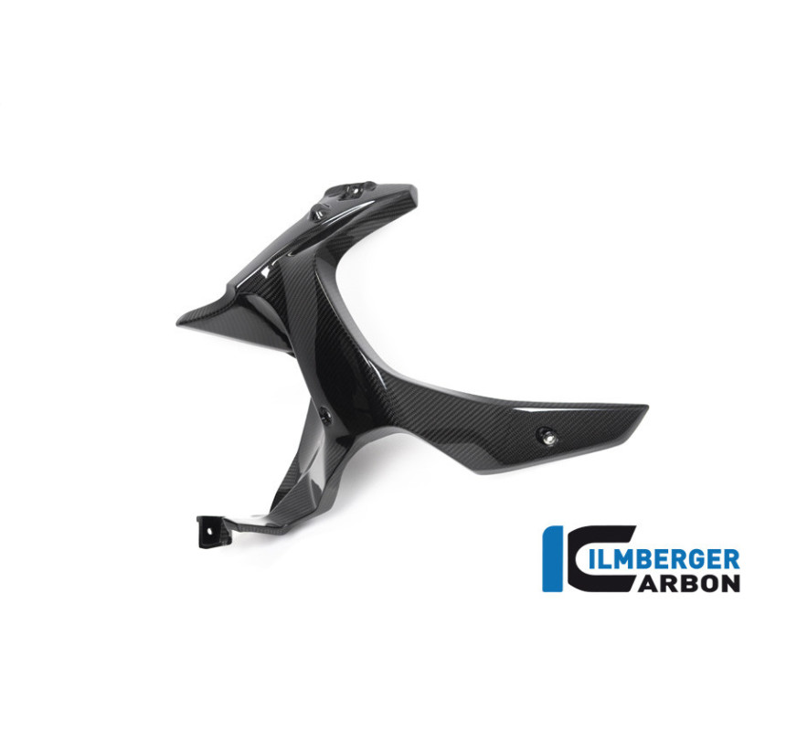 Habillage de sortie d'air gauche carbone pour BMW R 1250 GS Adventure | Ilmberger Carbon