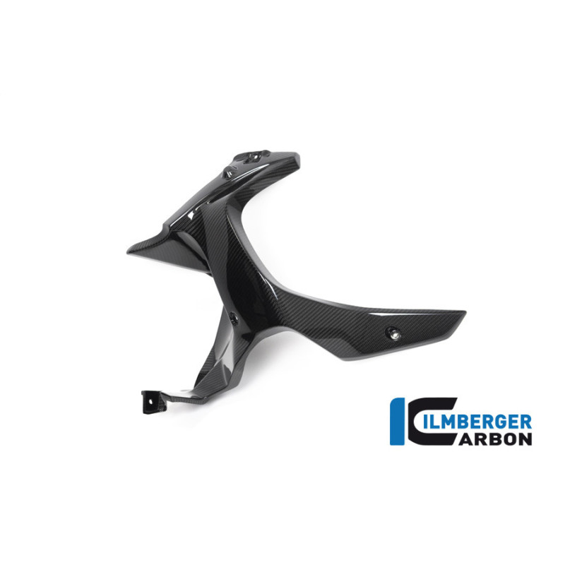 Habillage de sortie d'air gauche carbone pour BMW R 1250 GS Adventure | Ilmberger Carbon
