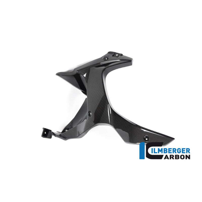Habillage de sortie d'air gauche carbone pour BMW R 1250 GS Adventure | Ilmberger Carbon