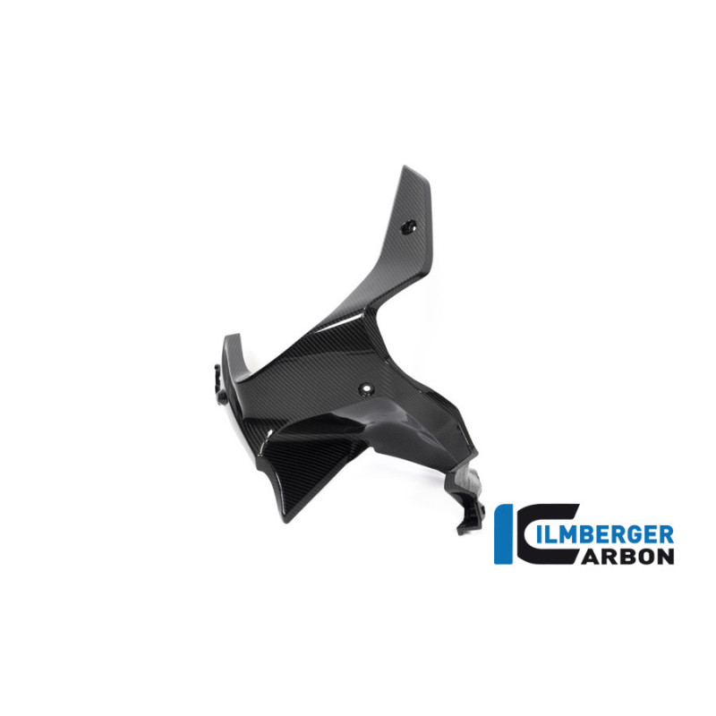 Habillage de sortie d'air gauche carbone pour BMW R 1250 GS Adventure | Ilmberger Carbon