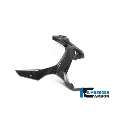 Habillage de sortie d'air droit carbone pour BMW R 1250 GS Adventure | Ilmberger Carbon