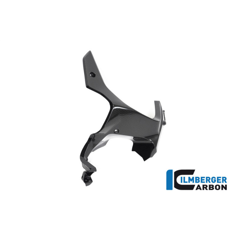 Habillage de sortie d'air droit carbone pour BMW R 1250 GS Adventure | Ilmberger Carbon