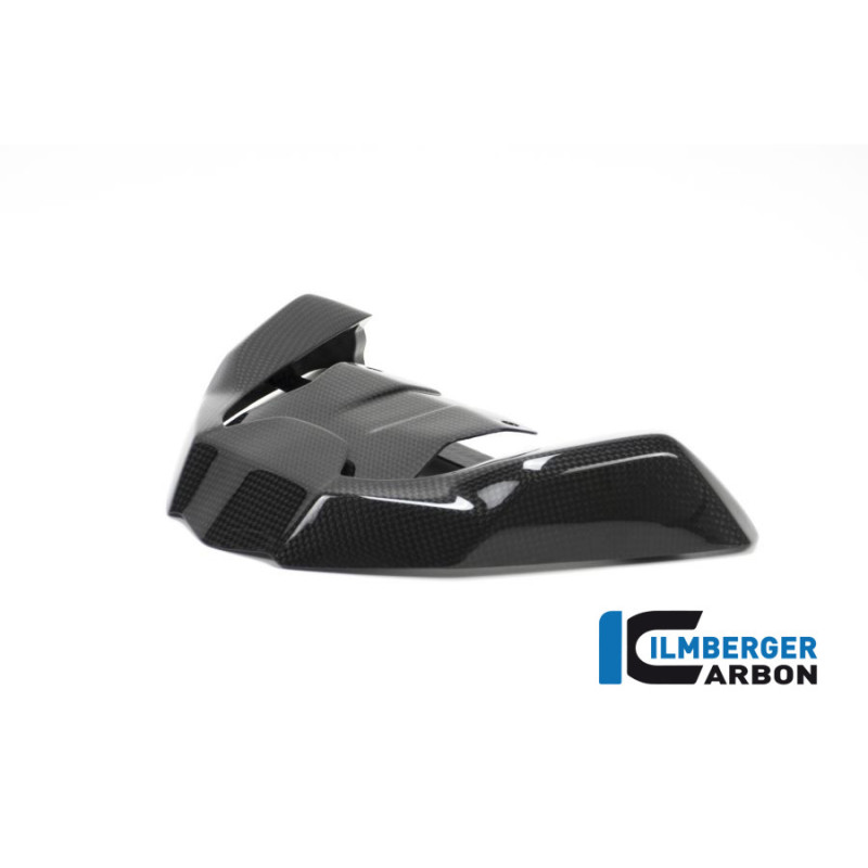 Extension de bec carbone pour BMW R 1200 GS | Ilmberger Carbon