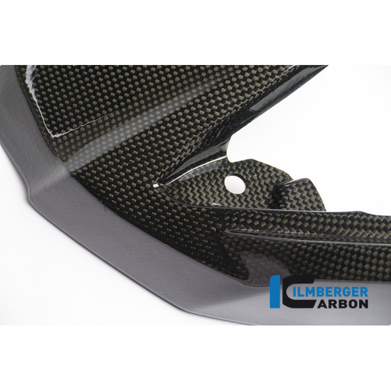 Extension de bec carbone pour BMW R 1200 GS Adventure | Ilmberger Carbon
