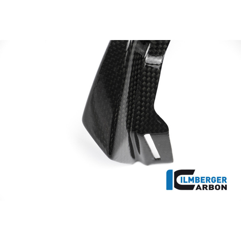 Extension de bec carbone pour BMW R 1200 GS Adventure | Ilmberger Carbon