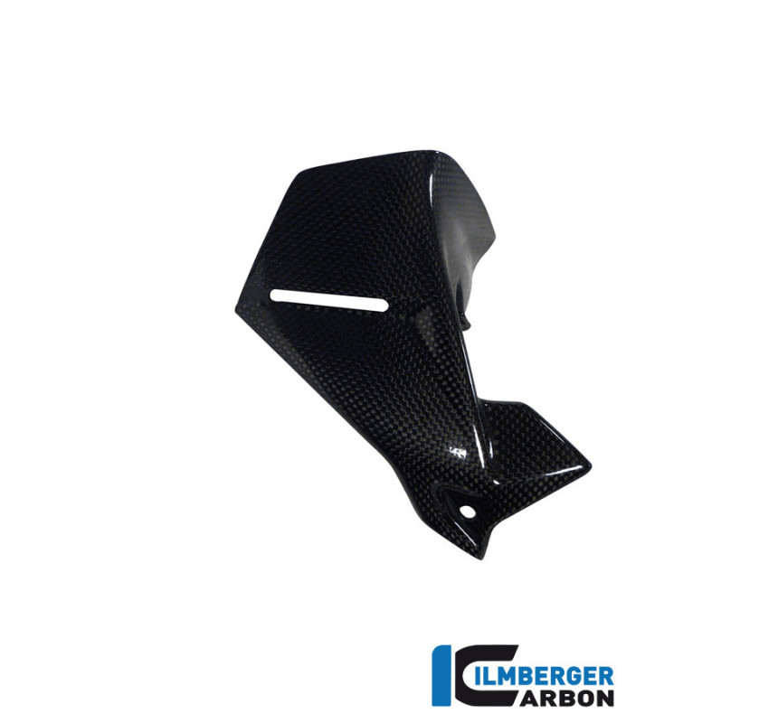 Déflecteur de cockpit gauche carbone pour BMW R 1200 GS & GSA | Ilmberger Carbon