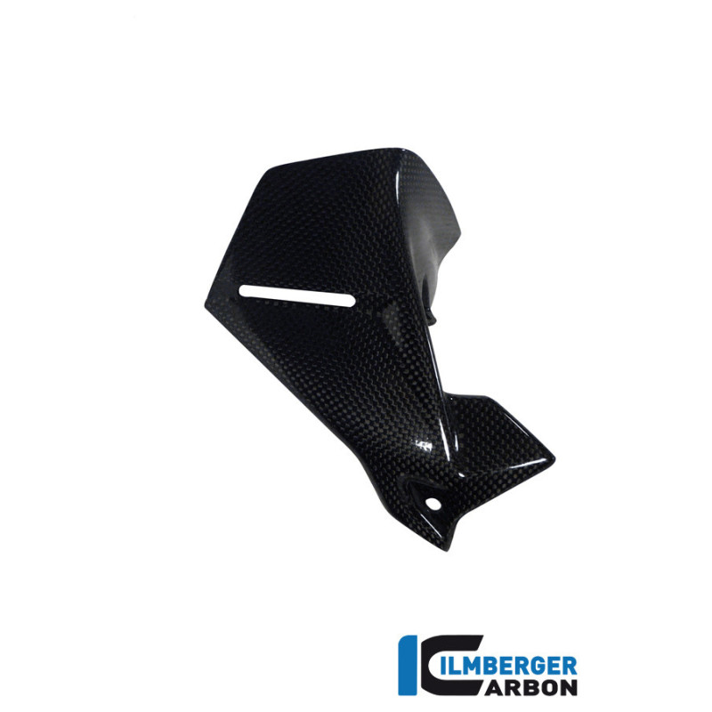 Déflecteur de cockpit gauche carbone pour BMW R 1200 GS & GSA | Ilmberger Carbon