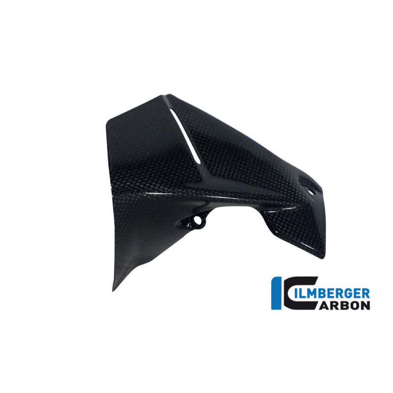 Déflecteur de cockpit droit carbone pour BMW R 1200 GS & GSA | Ilmberger Carbon