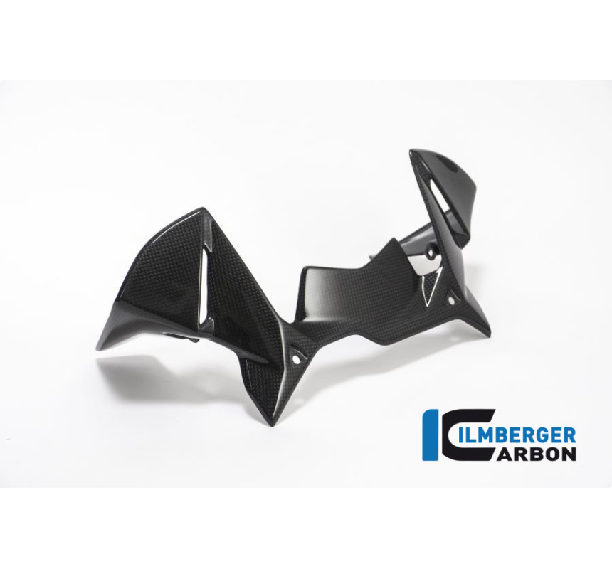Déflecteur de cockpit carbone pour BMW R 1200 GS | Ilmberger Carbon