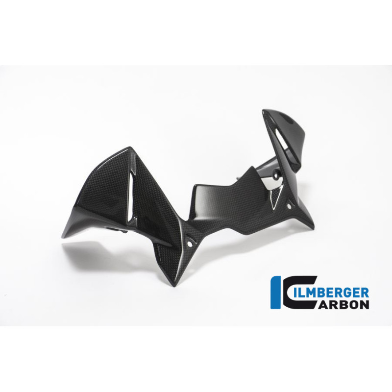 Déflecteur de cockpit carbone pour BMW R 1200 GS | Ilmberger Carbon