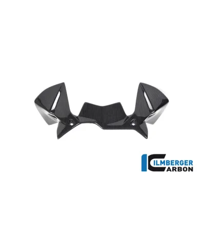 Déflecteur de cockpit carbone pour BMW R 1250 GS & GSA | Ilmberger Carbon