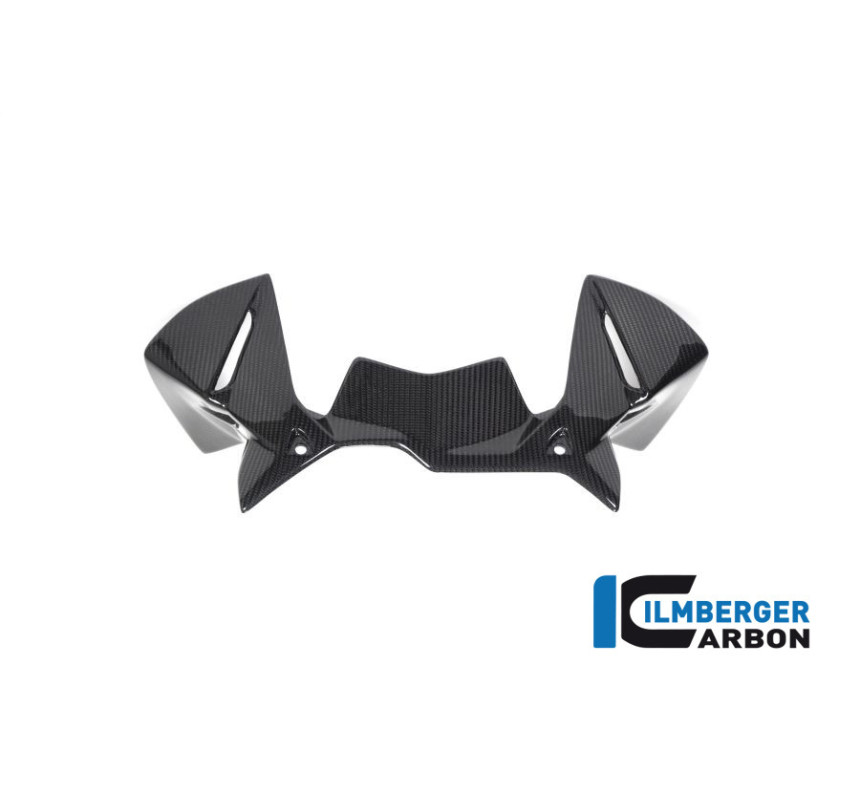 Déflecteur de cockpit carbone pour BMW R 1250 GS & GSA | Ilmberger Carbon