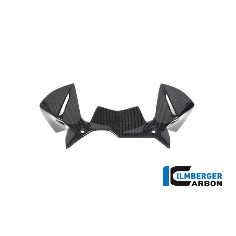 Déflecteur de cockpit carbone pour BMW R 1250 GS & GSA | Ilmberger Carbon