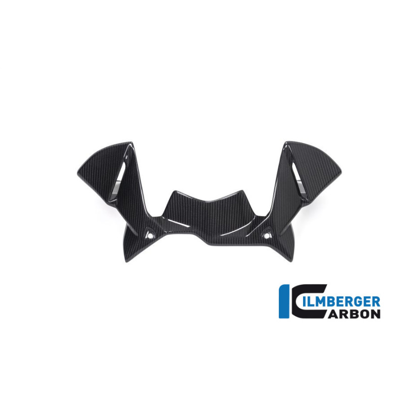 Déflecteur de cockpit carbone pour BMW R 1250 GS & GSA | Ilmberger Carbon