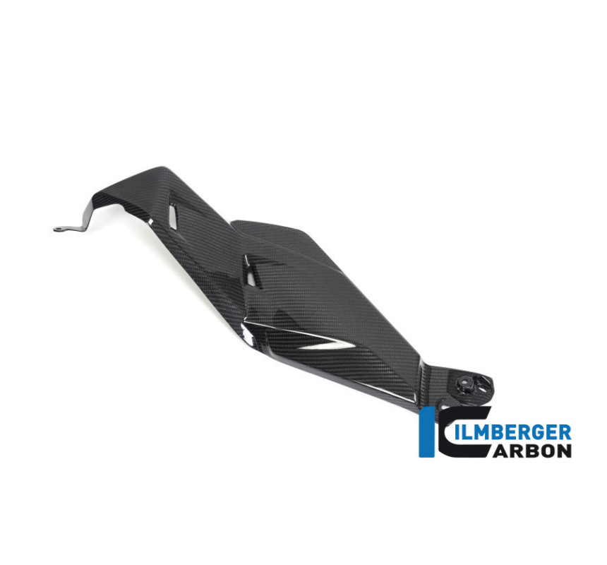 Flanc de réservoir bas gauche carbone pour R 1250 GS