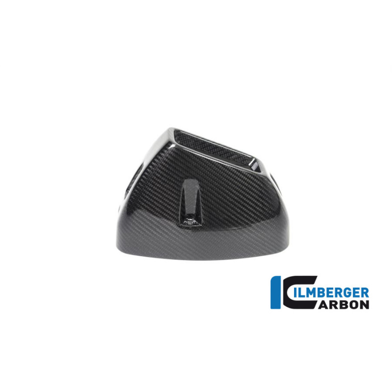 Protection thermique d'échappement arrière carbone pour BMW R 1250 GS & GSA | Ilmberger Carbon
