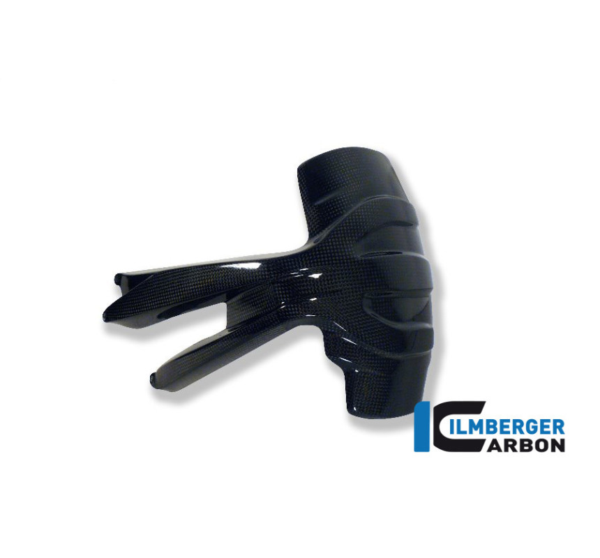 Bavette anti-projections arrière carbone pour BMW R 1200 GS & GSA | Ilmberger Carbon