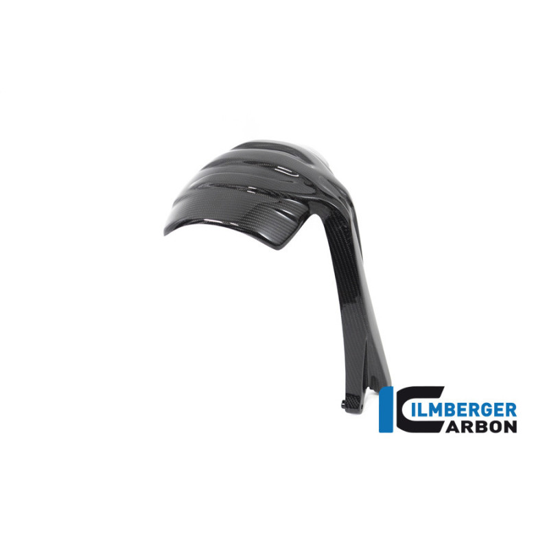 Bavette anti-projections arrière carbone pour BMW R 1250 GS & GSA | Ilmberger Carbon