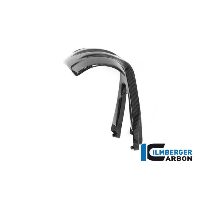 Bavette anti-projections arrière carbone pour BMW R 1250 GS & GSA | Ilmberger Carbon