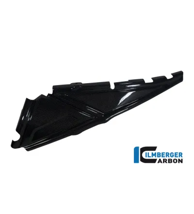 Cache de boucle arrière gauche carbone pour BMW R 1200 GS & GSA | Ilmberger Carbon