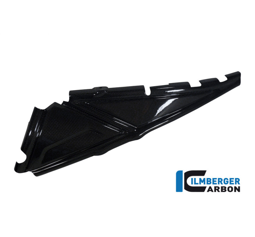 Cache de boucle arrière gauche carbone pour BMW R 1200 GS & GSA | Ilmberger Carbon