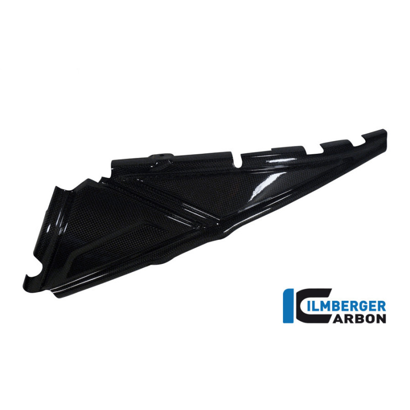 Cache de boucle arrière gauche carbone pour BMW R 1200 GS & GSA | Ilmberger Carbon