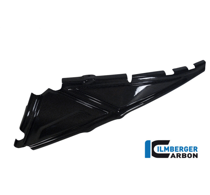 Cache de boucle arrière gauche carbone pour R 1200 GS & GSA