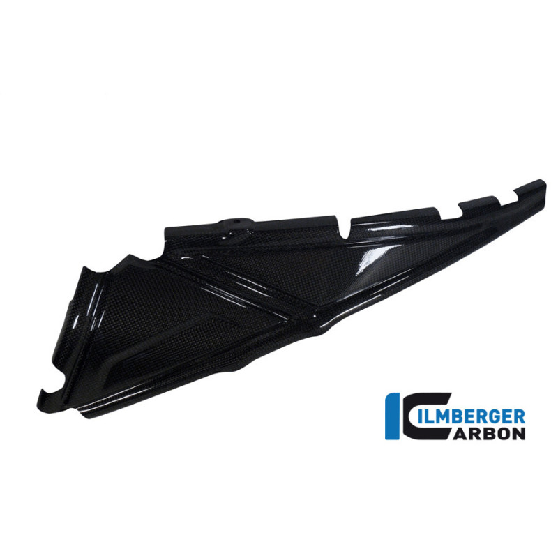 Cache de boucle arrière gauche carbone pour R 1200 GS & GSA