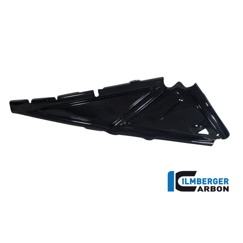 Cache de boucle arrière droit carbone pour BMW R 1200 GS & GSA | Ilmberger Carbon