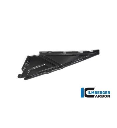 Cache de boucle arrière gauche carbone pour BMW R 1250 GS & GSA | Ilmberger Carbon