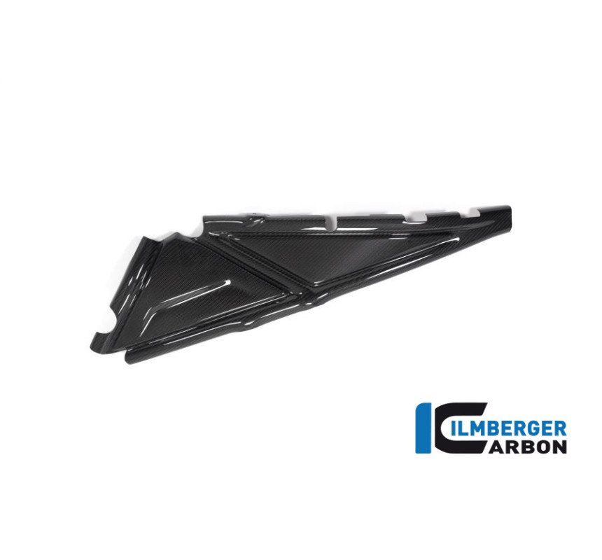 Cache de boucle arrière gauche carbone pour BMW R 1250 GS & GSA | Ilmberger Carbon