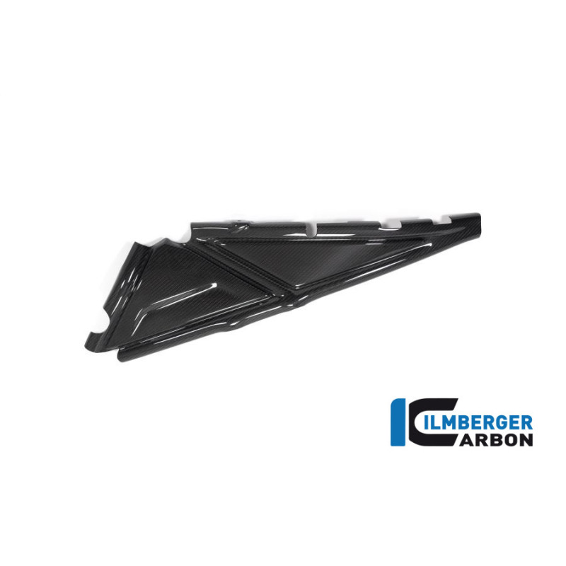 Cache de boucle arrière gauche carbone pour BMW R 1250 GS & GSA | Ilmberger Carbon
