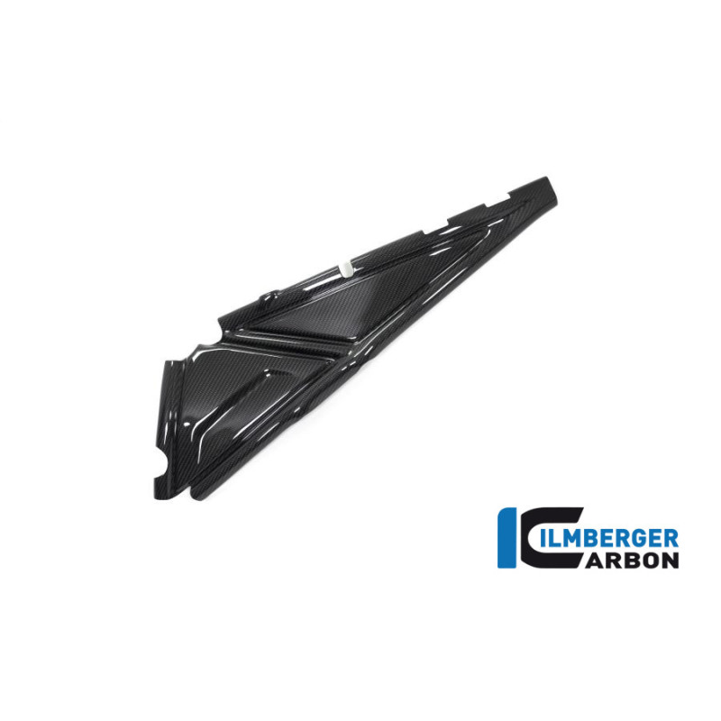 Cache de boucle arrière gauche carbone pour BMW R 1250 GS & GSA | Ilmberger Carbon