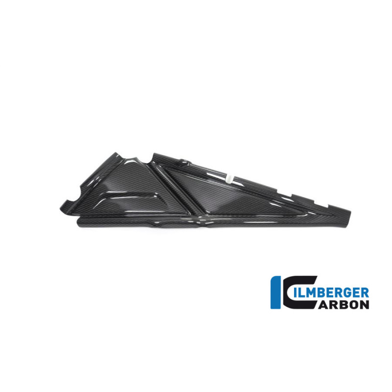 Cache de boucle arrière gauche carbone pour BMW R 1250 GS & GSA | Ilmberger Carbon