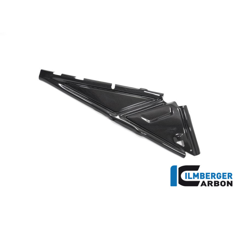 Cache de boucle arrière droit carbone pour BMW R 1250 GS & GSA | Ilmberger Carbon